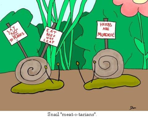 snails-colour-optimum.jpg